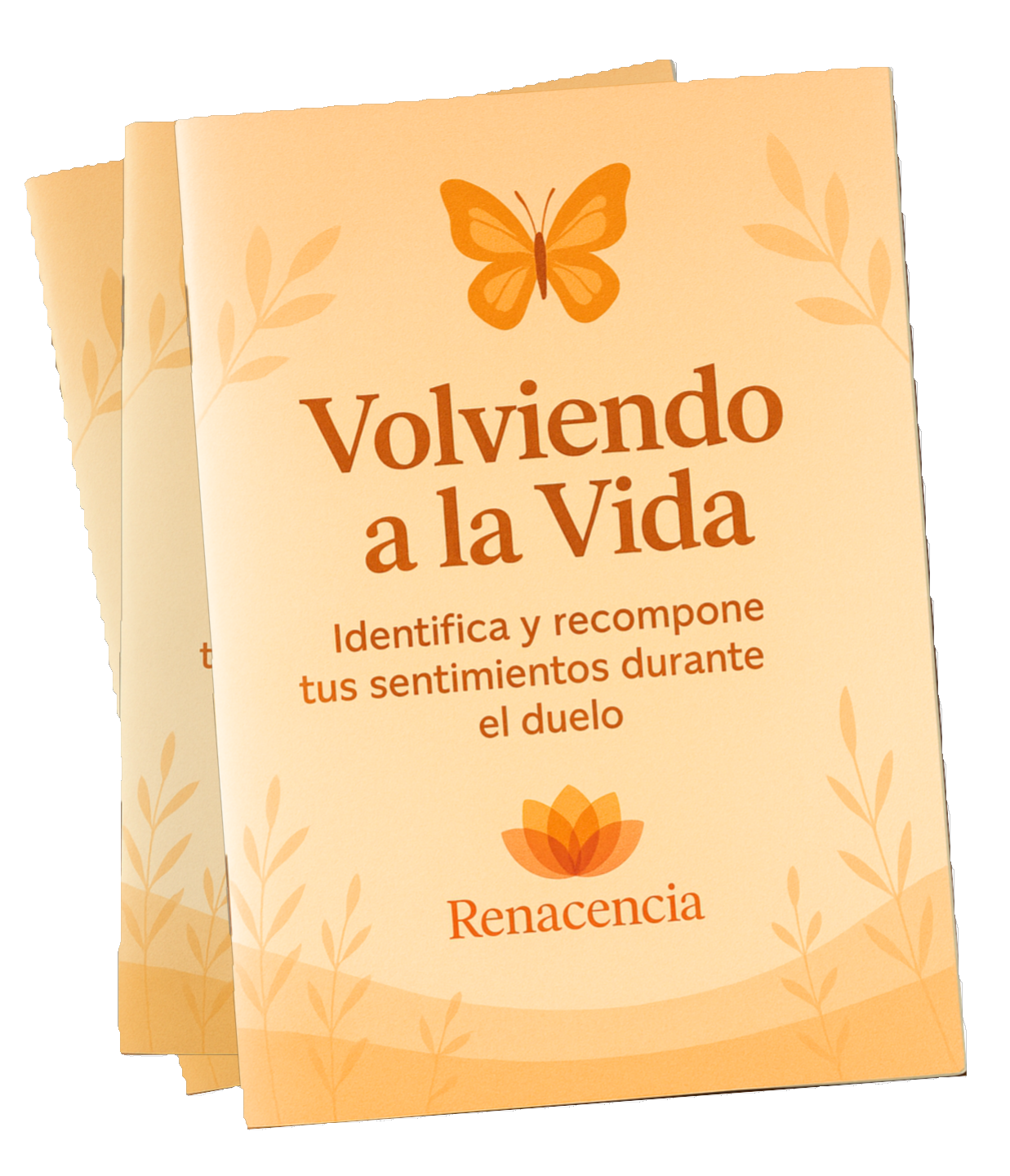 Volviendo a la Vida booklet